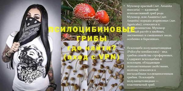 mix Арсеньев